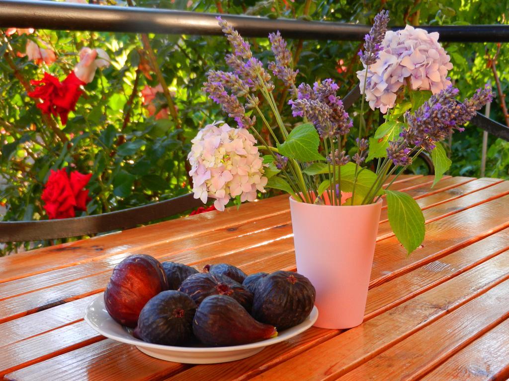 Guest House Villa Leonardo Herceg Novi Eksteriør bilde