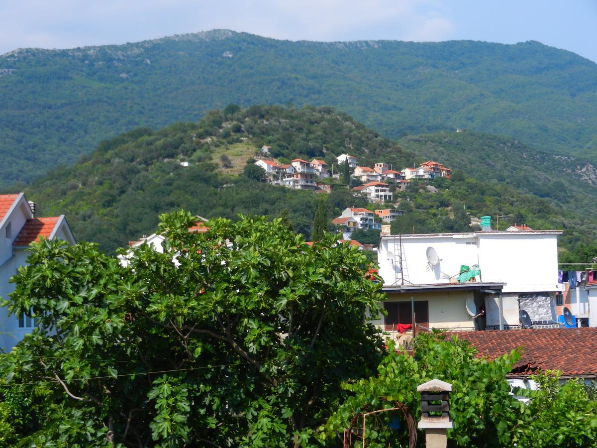 Guest House Villa Leonardo Herceg Novi Eksteriør bilde